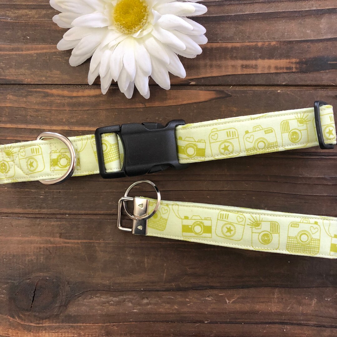 Dog Collar Instagram Instagram Dog Collar Instagram Collar Etsy
