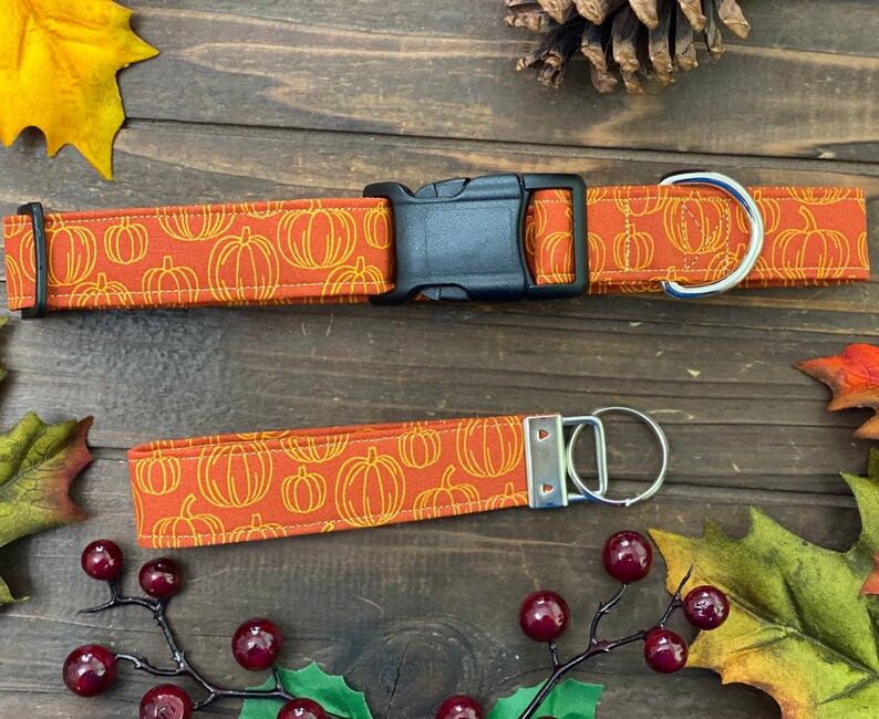 May include: Orange and brown fabric dog collar and matching leash with a pumpkin pattern. The collar has a black plastic buckle and a silver metal D-ring. The leash has a silver metal key ring.