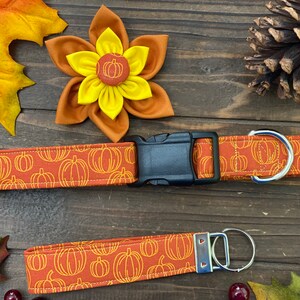 May include: A brown and orange dog collar and leash with a pumpkin pattern. The collar has a black plastic buckle and a silver D-ring. The leash has a silver key ring.