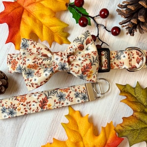 May include: A beige dog collar and matching bow tie with a floral pattern featuring orange, red, and blue flowers. The collar has a silver buckle and a matching leash with a silver key ring.