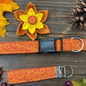 May include: A set of orange and yellow pumpkin-themed dog collar and leash. The collar has a black buckle and a silver D-ring. The leash has a silver clip and a silver D-ring.