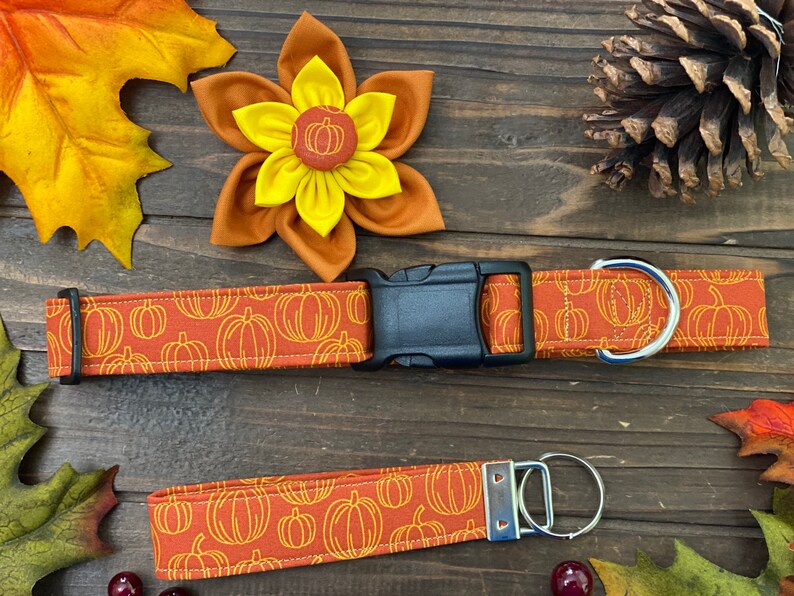 May include: A set of orange and yellow pumpkin-themed dog collar and leash. The collar has a black buckle and a silver D-ring. The leash has a silver clip and a silver D-ring.