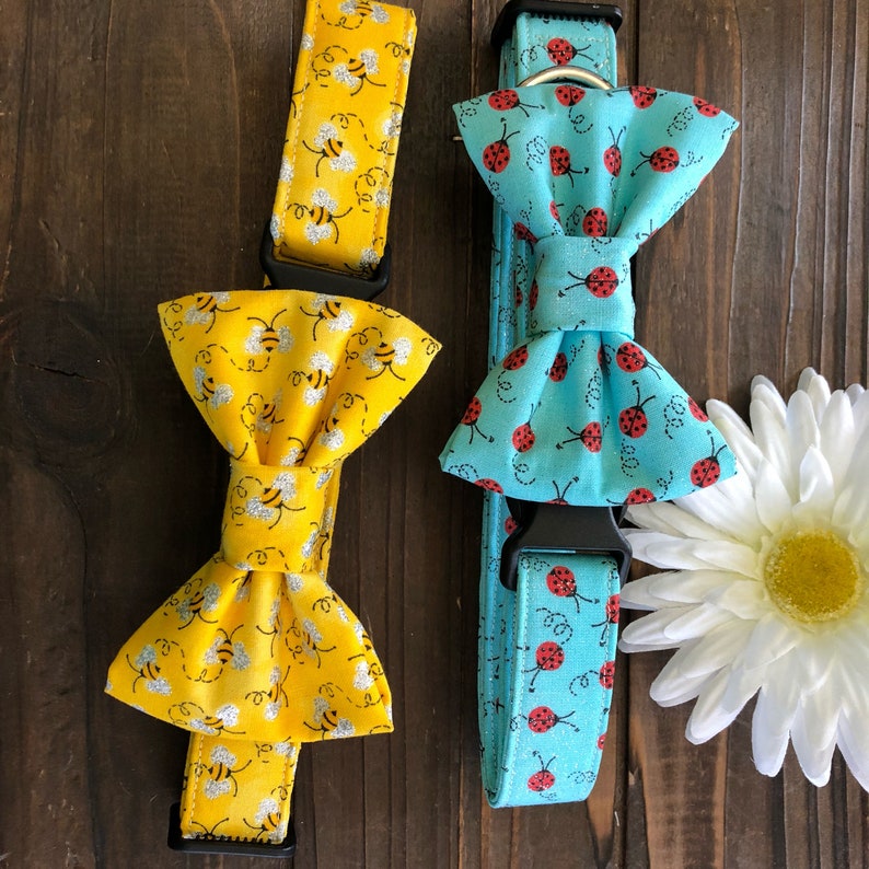 May include: Two dog collars with bow ties. One collar is blue with a ladybug print and a blue bow tie. The other collar is yellow with a bee print and a yellow bow tie.