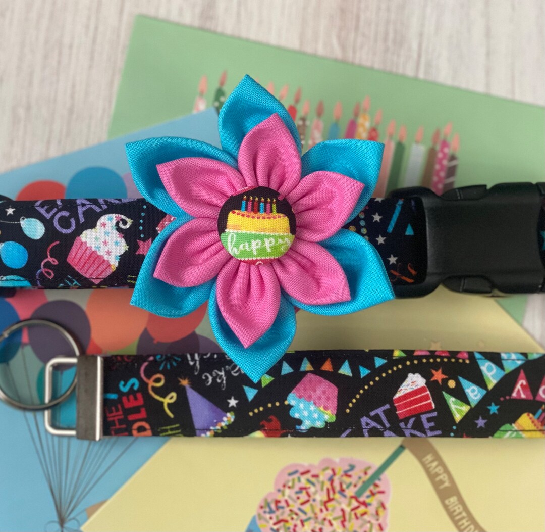Dog Collar, Happy Birthday, Birthday Collar, Balloons, Cake, Cupcake