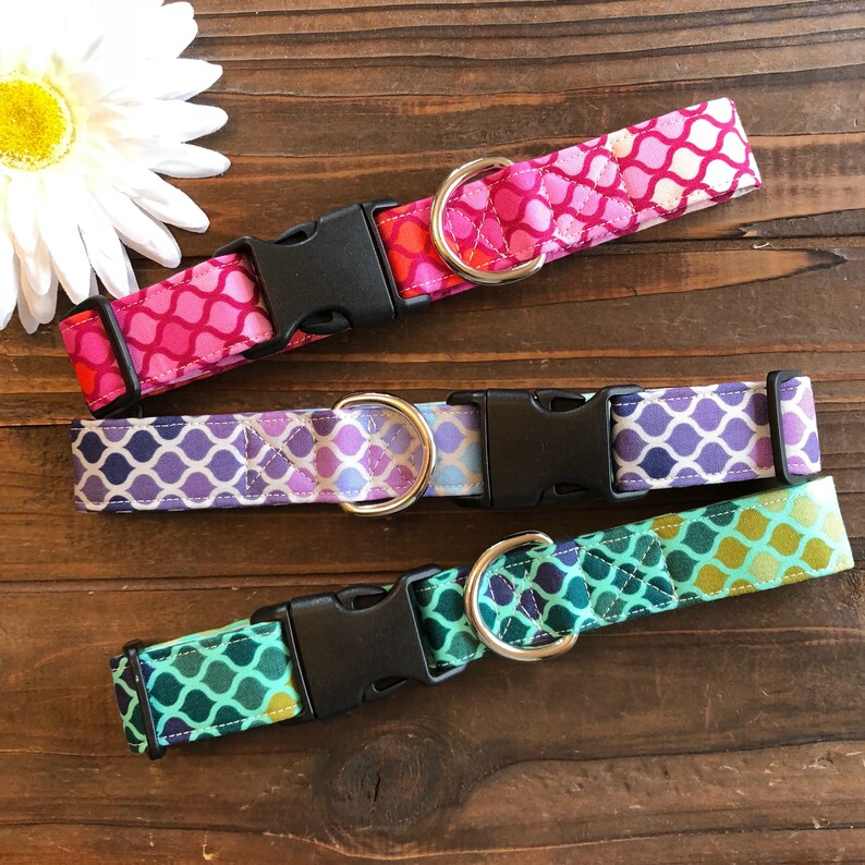 Dog Collar Green Dog Collar Mosaic Dog Collar Mermaid Dog Etsy