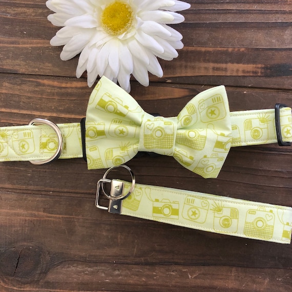 Dog Collar Instagram Instagram Dog Collar Camera Camera Etsy