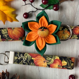 Pumpkin Dog Collar with Detachable Flower: Autumn Thanksgiving