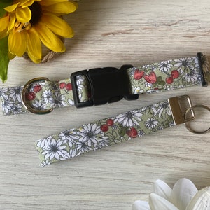 Dog collar, flowers, daisy, daisies, strawberry, strawberries, sage, green, white, red, berries, summer, fall, spring, key fob, keychain