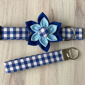 May include: Blue and white checkered dog collar with a matching leash and a blue and light blue flower accent.