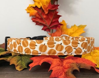 dog collar, thanksgiving dog collar, autumn dog collar, pumpkin, pumpkin dog collar, halloween dog collar, halloween , pumpkins, pet collar