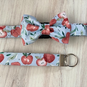 Dog collar, apples, watercolor, back to school, collar with bow, bow tie, collar with bow tie, apple bow tie, bow, key fob, teacher, key fob