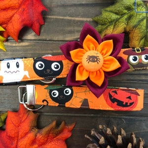 Dog collar, pumpkin, halloween, jack o lantern, cared pumpkin, white, black, orange, gourd, collar with bow, collar with flower, flower, bow
