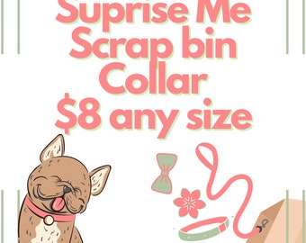 dog collar, suprise dog collar, fun dog collar, grab bag dog collar, clearance dog collar, cheap dog collar