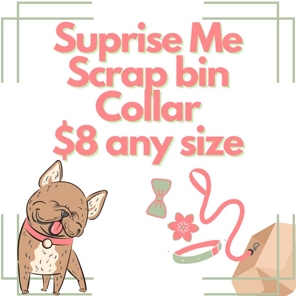 dog collar, suprise dog collar, fun dog collar, grab bag dog collar, clearance dog collar, cheap dog collar