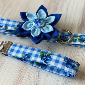 May include: A blue and white gingham dog collar with a blue flower charm and matching blue and white gingham lead with a silver key ring.