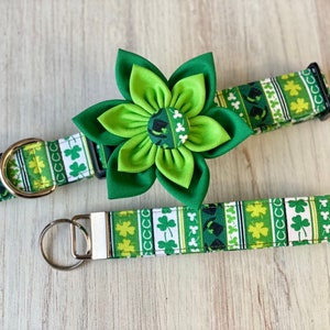 May include: A green and white patterned dog collar with a matching leash and a green shamrock flower.