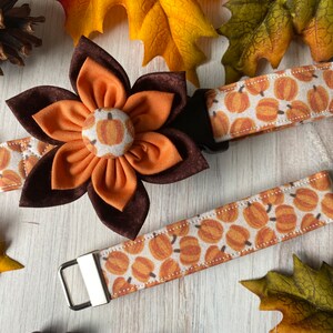 May include: A brown and orange fabric flower with a pumpkin print is attached to a brown fabric collar with a pumpkin print. The collar is attached to a brown fabric strap with a metal buckle.