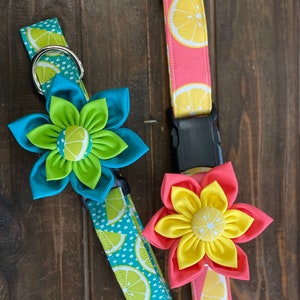 May include: Two dog collars with lemon print fabric and matching fabric flower embellishments. One collar is turquoise with white polka dots and a green flower. The other collar is pink with a yellow flower.