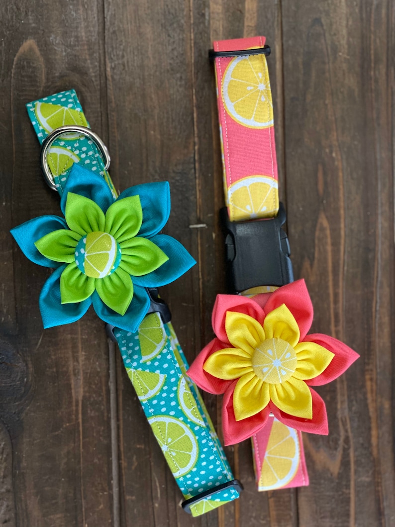 May include: Two dog collars with lemon print fabric and matching fabric flower embellishments. One collar is turquoise with white polka dots and a green flower. The other collar is pink with a yellow flower.