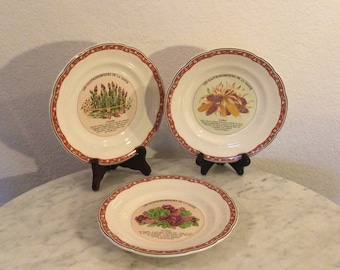 Set of 6 Gien 'le Houx' Salad Plates Rare French Vintage Faience