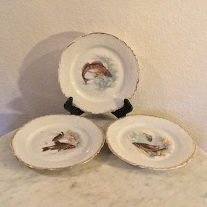 May include: Three white porcelain plates with gold trim and painted fish designs. Each plate features a different fish species.