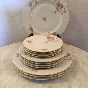 Royal Bavaria Fine China Hutschenreuther &quot;Avon Rose&quot; V, Set Of Twelve (12) Pieces Dinnerware Set, Pink Roses. Made In Germany. Discontinued