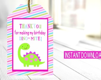 Può includere: Un'etichetta a strisce rosa, verde e blu con un rettangolo bianco al centro. Il rettangolo contiene un dinosauro verde con macchie rosa e un colletto rosa. Il testo sull'etichetta dice "THANK YOU for making my birthday DINO-MITE!"