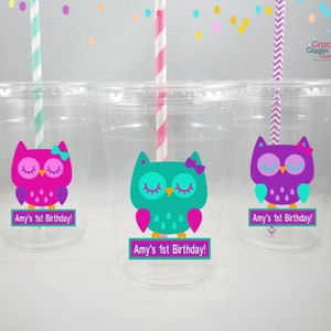 Personalized Owl Themed Party Cups with Lids and Striped Straws