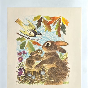 Farm Animals' Print - Mother Bunny and Her Baby - Artist Leonard Weisgard - Penn Prints, New York - Vintage 1957 Home Decor