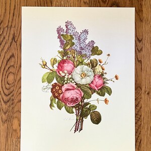 Modern Reproductions of 1945 Prévost Floral Bouquets Art Prints Modern Reproductions of 1945 Prévost Floral Bouquets Art Prints