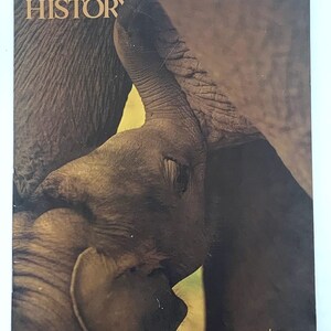 Natural History Magazine – Major Expeditions American Museums – Vintage July 1995 Collectible Magazine image 2