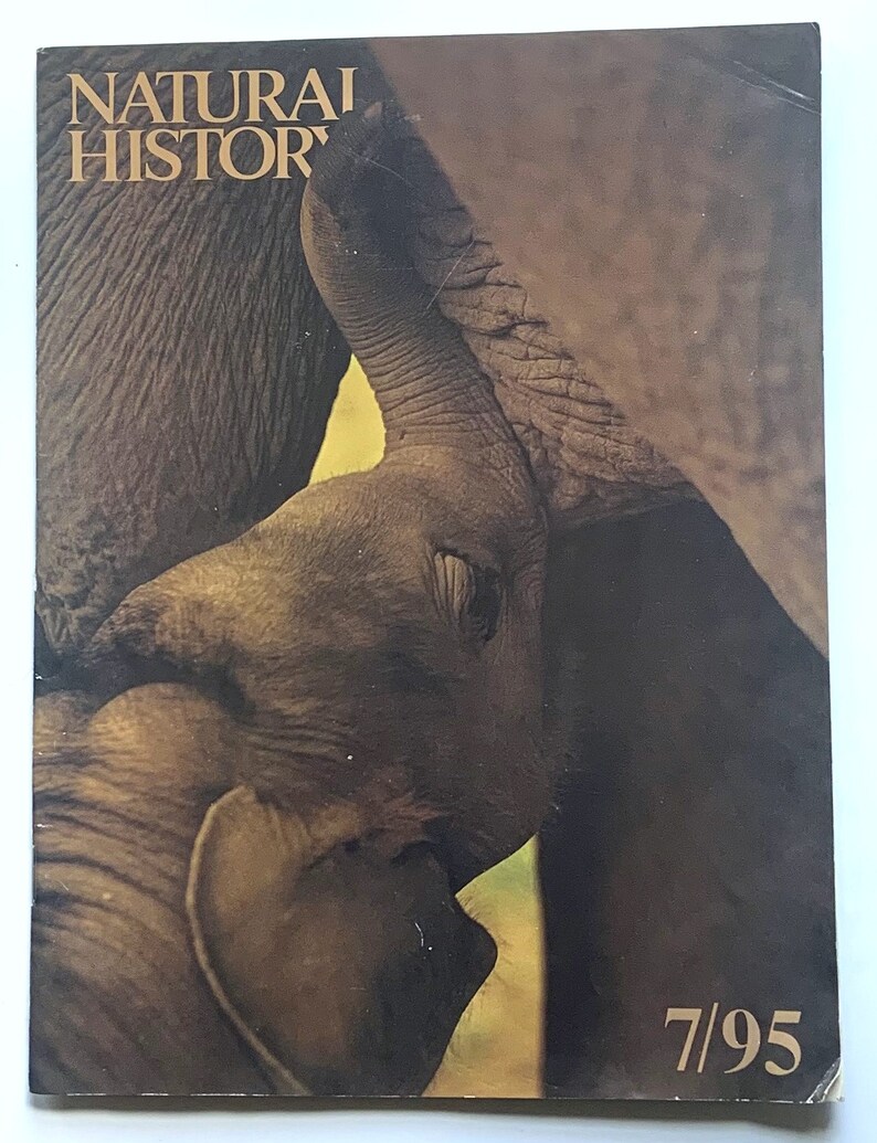 Natural History Magazine – Major Expeditions American Museums – Vintage July 1995 Collectible Magazine image 2