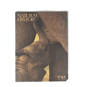 May include: A close-up image of an elephant calf nestled against its mother. The image is in shades of brown and features the text "NATURAL HISTOR" and "7/95".