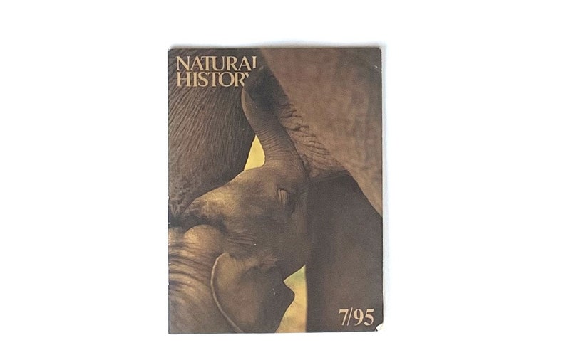 May include: A close-up image of an elephant calf nestled against its mother. The image is in shades of brown and features the text "NATURAL HISTOR" and "7/95".