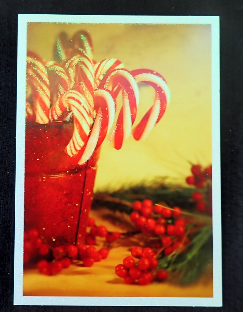 Bucket of Candy Canes Holiday Greeting Card Holiday Season Etsy