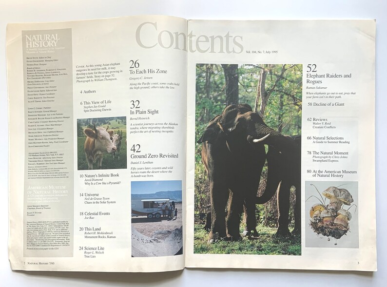 May include: A magazine cover for Natural History magazine, Vol. 104, No. 5, July 1995. The cover features a photo of two elephants in a forest setting. The magazine's contents are listed on the page, including articles on elephants, ground zero, and the natural moment.