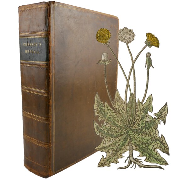 1636 The Herball, John Gerard (edited by Thomas Johnson). Most complete edition.