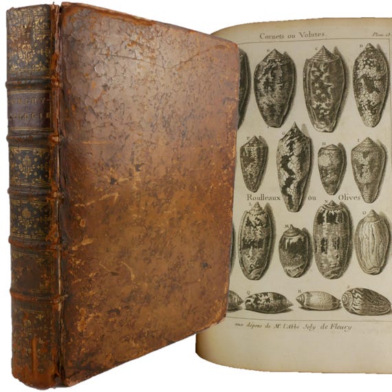 Richly illustrated shells book. 1757 L'Histoire Naturelle Eclaircie... Conchyliologie... Zoomorphose. 2 parts, complete, with all 41 plates.