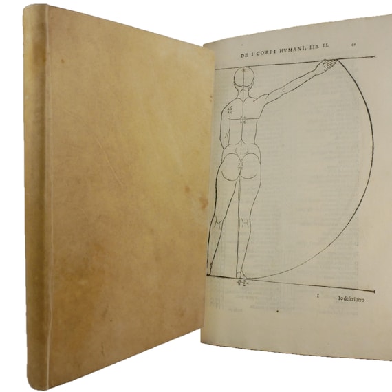 Albrecht Durer on Human Proportions. 1st Italian edition of 1591
