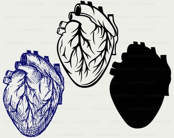 Human Heart Svg Etsy