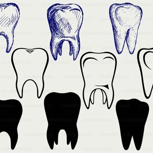Tand molaire svg/tand molaire clipart/tand svg/molar silhouet/molar cricut gesneden bestanden/clip art/digitale download ontwerpen/svg
