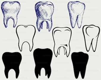 Tooth molar svg/tooth molar clipart/tooth svg/molar silhouette/molar cricut cut files/clip art/digital download designs/svg