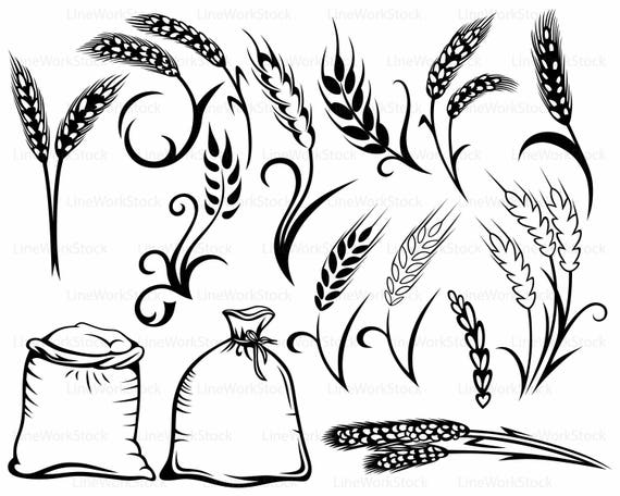 Download Wheat Svg Rye Clipart Wheat Svg Rye Silhouette Wheat Etsy