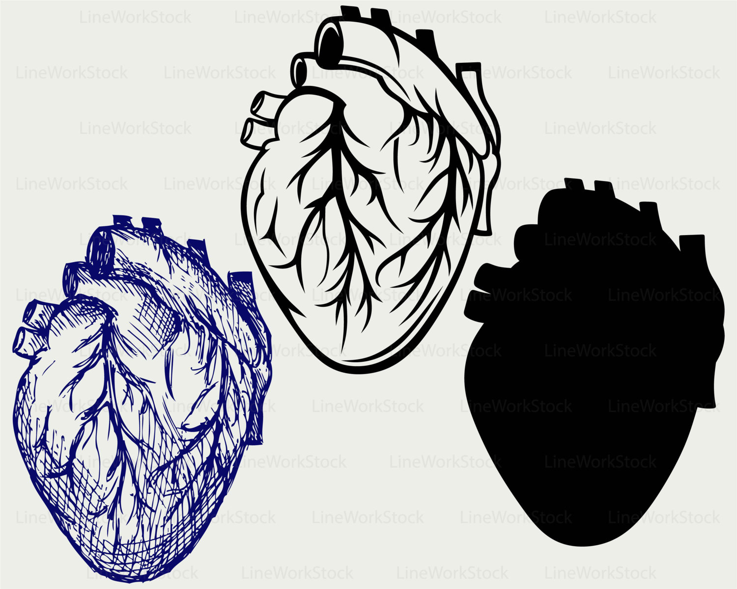 Download Human Heart Svg Human Heart Clipart Human Heart Svg Human Etsy