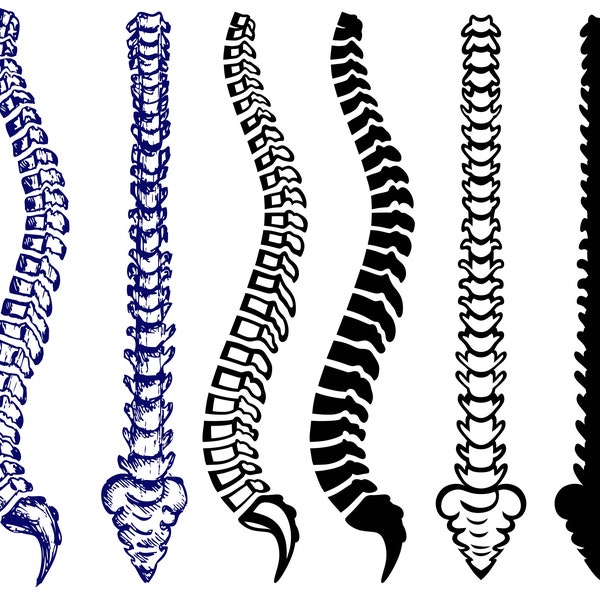 ANATOMY SPINE svg/spine clipart/spine svg/spine silhouette/spine cricut/spine cut files/clip art/digital download designs/svg