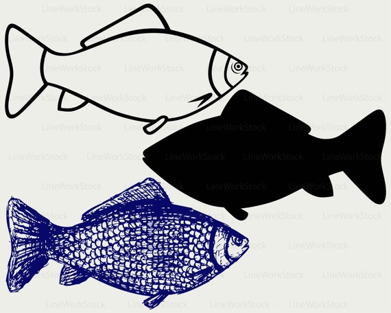 Free Free 283 Cricut Fish Designs SVG PNG EPS DXF File