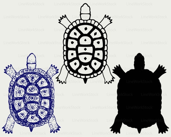 Svg Tortue De Tortue Svg Terre Tortue Clipart Mer Tortue Etsy