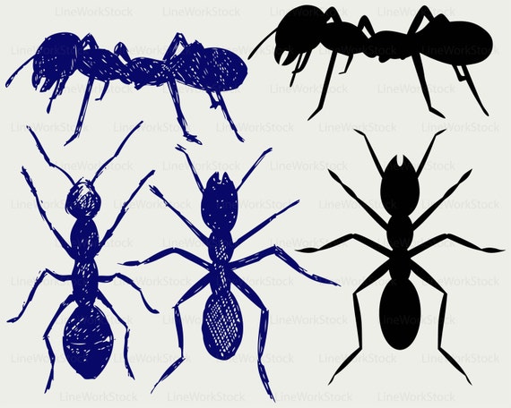 Ant Svg Ant Clipart Ant Svg Insects Silhouette Ant Cricut Ant Etsy