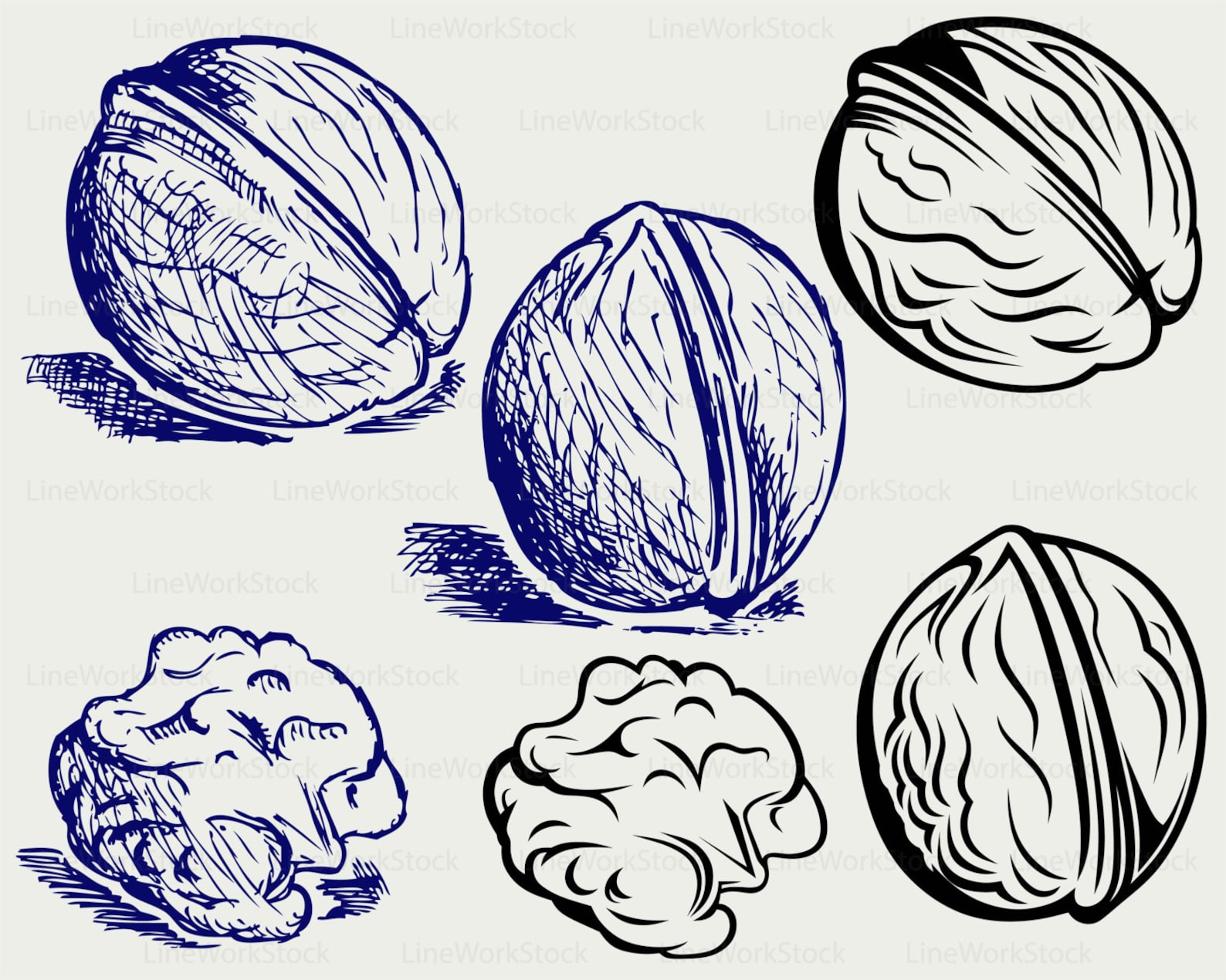 Walnut Nut Svg/food Clipart/walnut Svg/nut Silhouette/walnut Etsy