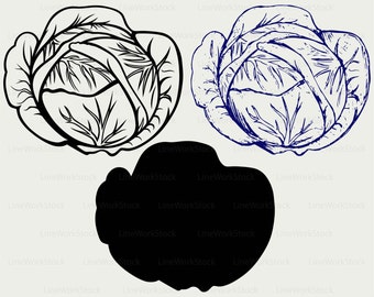 Cabbage svg/clipart/vegetables svg/silhouette/cabbage cricut cut files/cabbage clip art/cabbage digital download/cabbage designs/svg